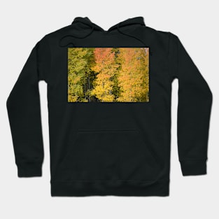 Touch of Autumn Hoodie